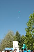 NAMIWalk07 (110) 